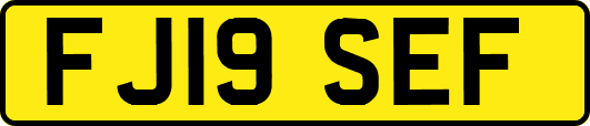 FJ19SEF