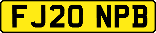 FJ20NPB
