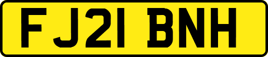 FJ21BNH