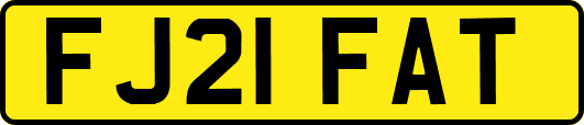 FJ21FAT