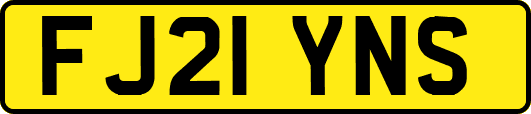 FJ21YNS