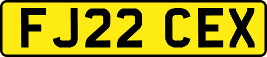 FJ22CEX