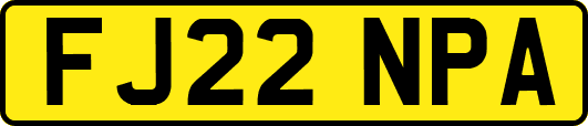 FJ22NPA
