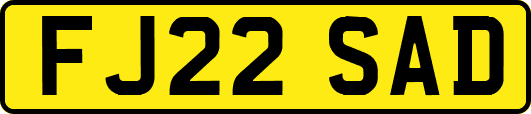 FJ22SAD