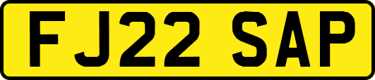 FJ22SAP