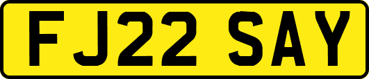 FJ22SAY