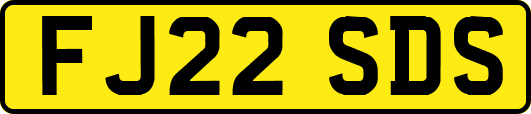 FJ22SDS