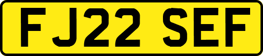 FJ22SEF