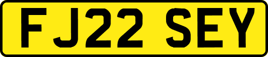 FJ22SEY