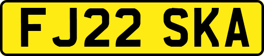 FJ22SKA