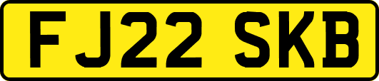 FJ22SKB