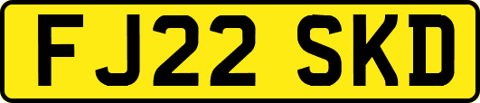 FJ22SKD