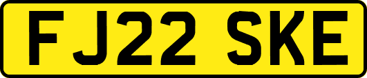FJ22SKE