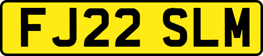 FJ22SLM