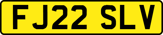 FJ22SLV