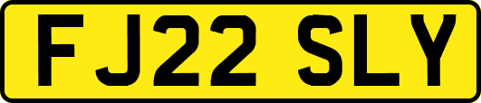 FJ22SLY
