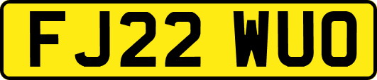 FJ22WUO