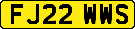 FJ22WWS
