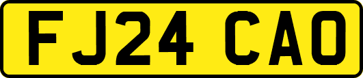 FJ24CAO