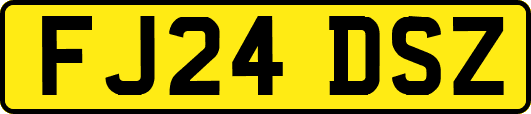 FJ24DSZ