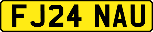 FJ24NAU