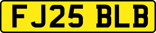 FJ25BLB