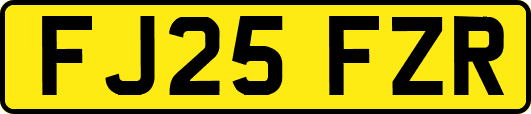 FJ25FZR