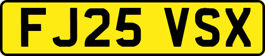 FJ25VSX