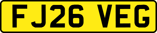 FJ26VEG