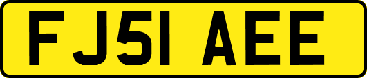 FJ51AEE