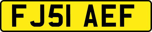 FJ51AEF