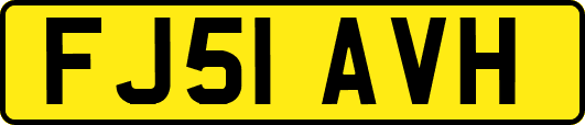 FJ51AVH