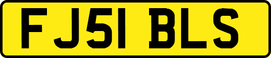 FJ51BLS