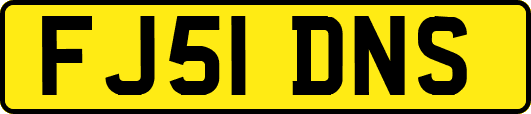 FJ51DNS