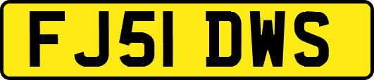 FJ51DWS