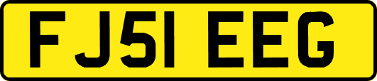 FJ51EEG