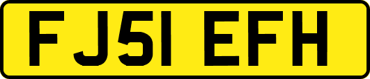 FJ51EFH