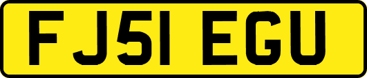 FJ51EGU