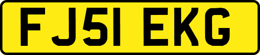 FJ51EKG