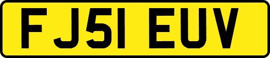 FJ51EUV