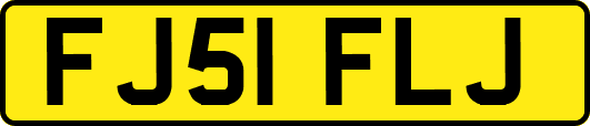 FJ51FLJ