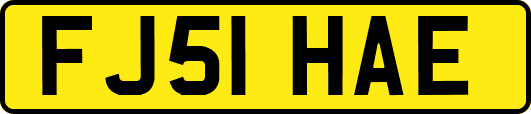 FJ51HAE