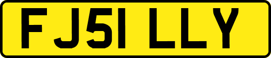 FJ51LLY