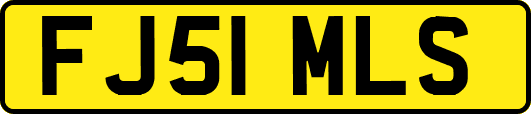 FJ51MLS