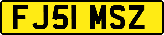 FJ51MSZ