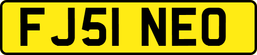 FJ51NEO