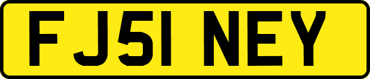 FJ51NEY