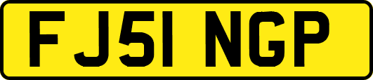 FJ51NGP