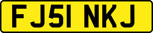 FJ51NKJ