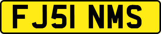 FJ51NMS